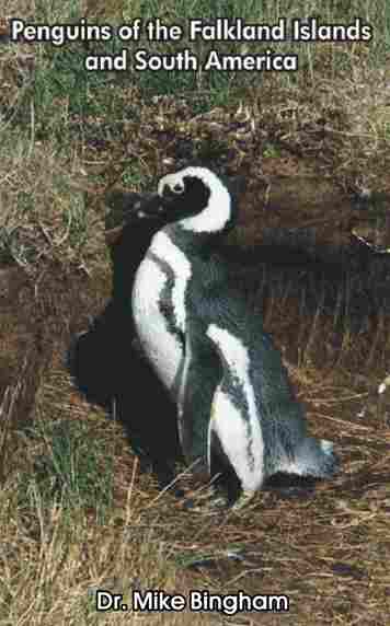 Purchase our book Penguins of the Falkland Islands and South America: Electronic version for instant download $3.95, Paperback $10.95. All proceeds go towards penguin research and protection